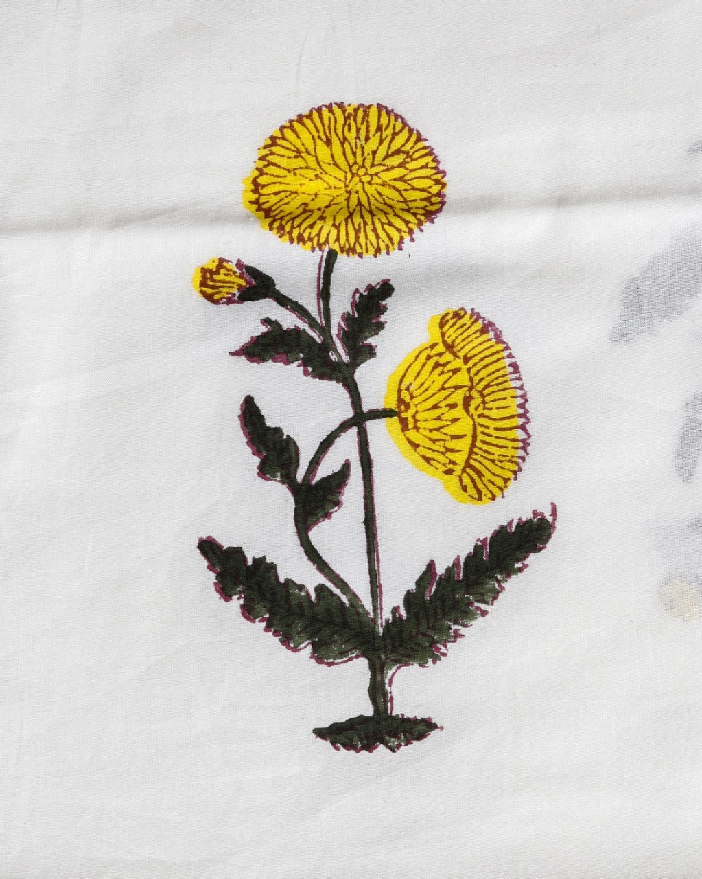 Shalvi Fashion's Premium Mulmul Collection (MAL50) - ShalviFashion