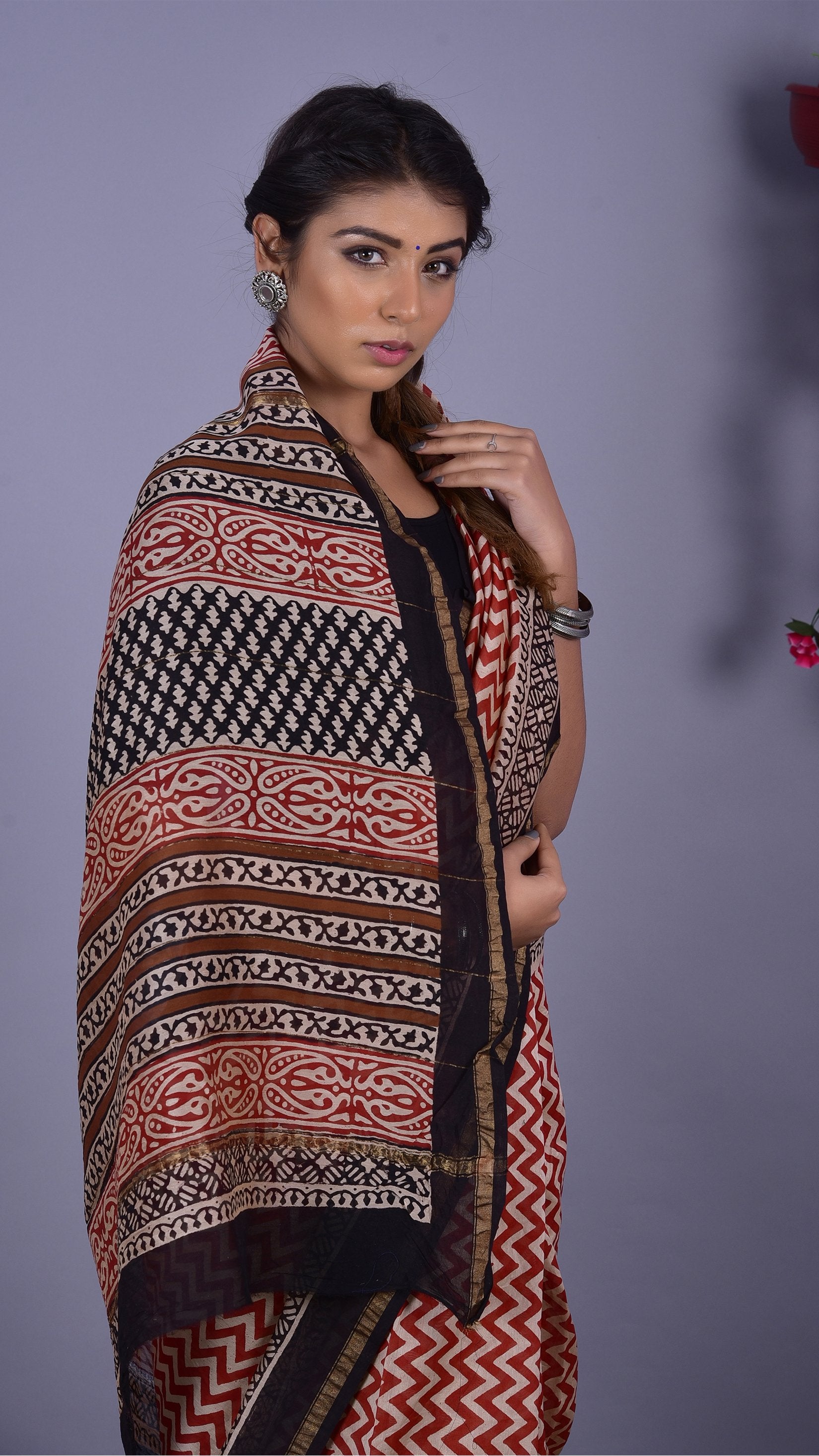 Beautifully Hand carfted Chanderi Saree (CHSAR15) - ShalviFashion